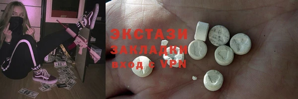 ECSTASY Богданович